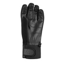 B8293BLK_PALM