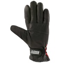B4526RED_PALM