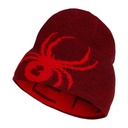 Spyder Boy's Reversible Bug Beanie
