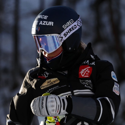 [B4830] Shred Basher FIS Helmet