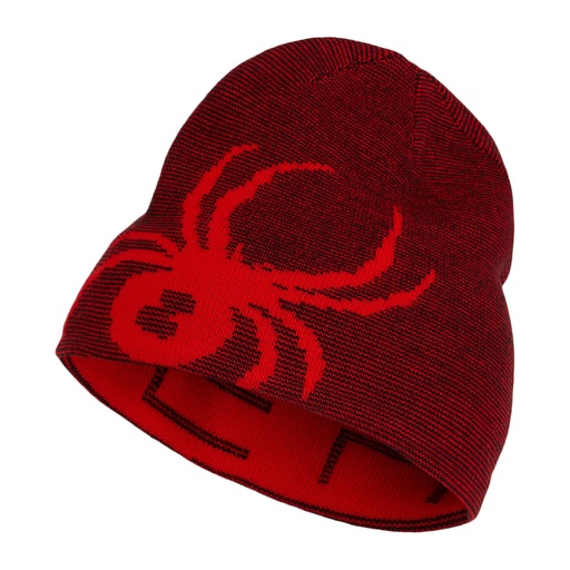[B8194] Spyder Boy's Reversible Bug Beanie