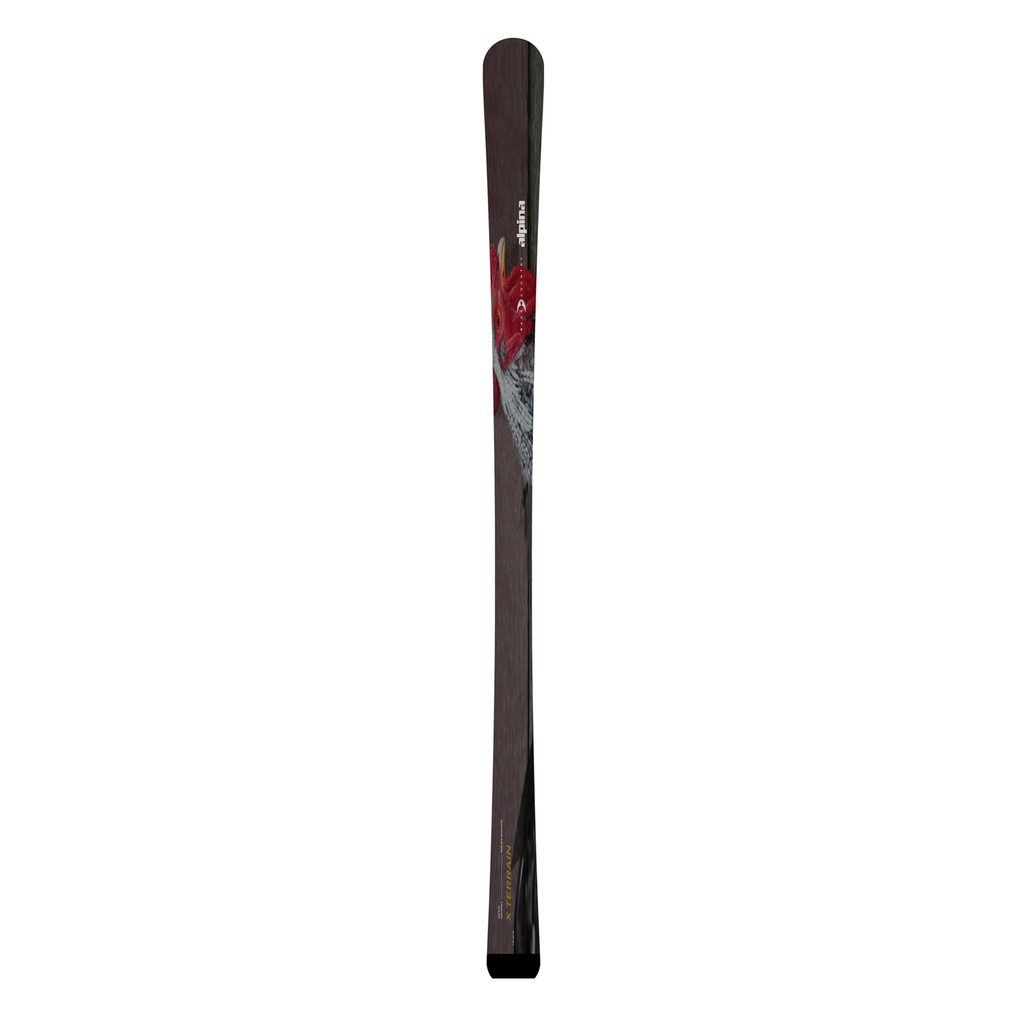 Alpina X Terrain Back Country Ski