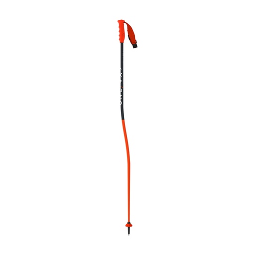 [B8644] Oneway RD 16 GS Race Pole