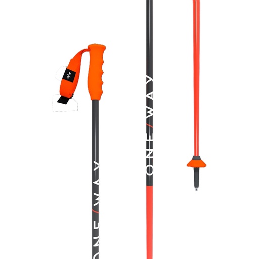 [B8820] Oneway Junior RD GS Race Pole